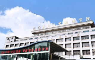 2024年昆明医科大学海源学院录取分数线，河北最低459分