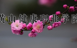 2025年黄山健康职业学院在河北计划招生人数（附学费及专业录取分)