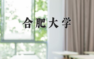 2025年合肥大学在四川计划招生人数（附学费及专业录取分)