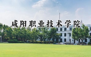 2024咸阳职业技术学院录取分数线：陕西最低380分
