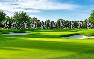 2025年武汉航海职业技术学院在河南计划招生人数（附学费及专业录取分)