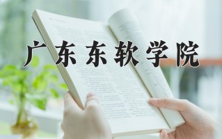 广东东软学院王牌专业有哪些？附2025最新王牌专业排名一览表