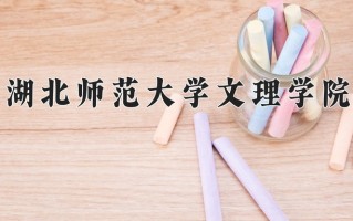 2025年湖北师范大学文理学院在河南计划招生人数（附学费及专业录取分)
