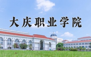 2025年大庆职业学院在新疆计划招生人数（附学费及专业录取分)