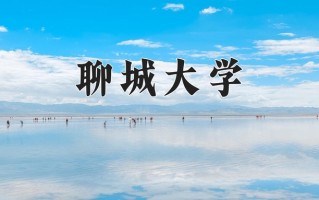 2025年聊城大学在河南计划招生人数（附学费及专业录取分)