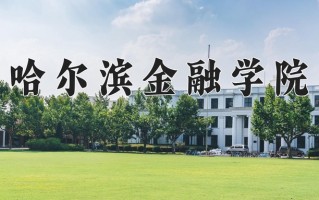 2025年哈尔滨金融学院在河南计划招生人数（附学费及专业录取分)