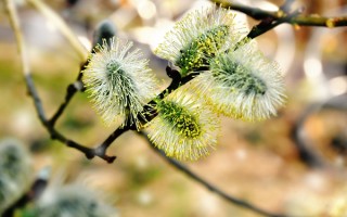 白露是不是开始冷了？从传统节气洞察季节更替