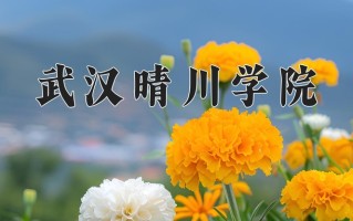 2025年武汉晴川学院在四川计划招生人数（附学费及专业录取分)