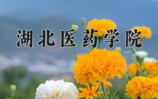 2025年湖北医药学院在河南计划招生人数（附学费及专业录取分)