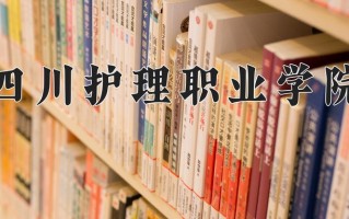 2025年四川护理职业学院在四川计划招生人数（附学费及专业录取分)