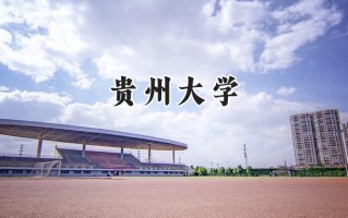 贵州大学2024在福建录取分数线是多少？最低562分/最高607分
