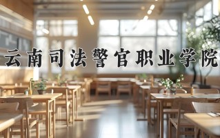 2025年云南司法警官职业学院在四川计划招生人数（附学费及专业录取分)