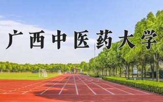 2025年广西中医药大学在四川计划招生人数（附学费及专业录取分)