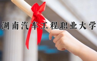 2025年湖南汽车工程职业大学在河南计划招生人数（附学费及专业录取分)