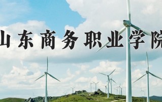 2025年山东商务职业学院在河北计划招生人数（附学费及专业录取分)
