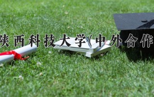 2024陕西科技大学(中外合作)录取分数线，重庆录取最低分514