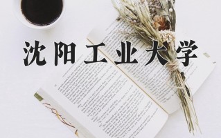 2025年沈阳工业大学在四川计划招生人数（附学费及专业录取分)