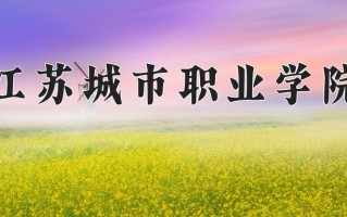 2025年江苏城市职业学院在四川计划招生人数（附学费及专业录取分)