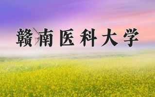 2025年赣南医科大学在四川计划招生人数（附学费及专业录取分)