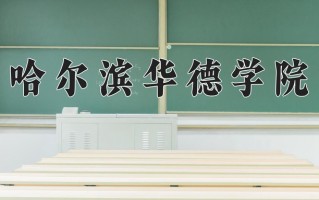 哈尔滨华德学院王牌专业有哪些？附2025最新王牌专业排名一览表