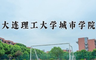 2025年大连理工大学城市学院在四川计划招生人数（附学费及专业录取分)