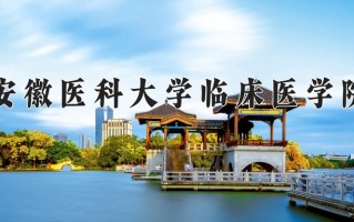 安徽医科大学临床医学院王牌专业有哪些？附2025最新王牌专业排名一览表
