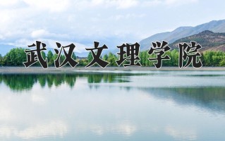 2025年武汉文理学院在河南计划招生人数（附学费及专业录取分)
