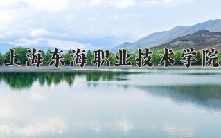 2025年上海东海职业技术学院在河南计划招生人数（附学费及专业录取分)