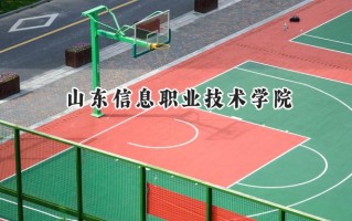 2024山东信息职业技术学院录取分数线：河南最低345分