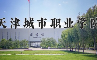 2025年天津城市职业学院在河南计划招生人数（附学费及专业录取分)