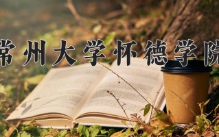 2025年常州大学怀德学院在河南计划招生人数（附学费及专业录取分)