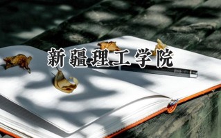 2024新疆理工学院录取分数线：江苏最低484分