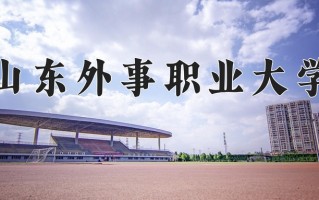 2025年山东外事职业大学在河南计划招生人数（附学费及专业录取分)