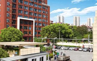 2024年武汉民政职业学院录取分数线，河北最低378分