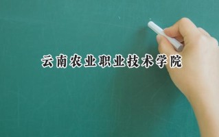 云南农业职业技术学院2024在山东录取分数线是多少？最低362分/最高386分