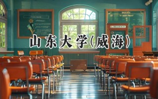 山东大学(威海)2024在新疆录取分数线是多少？最低530分/最高554分