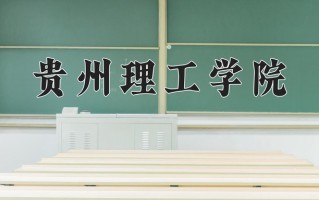 2025年贵州理工学院在河南计划招生人数（附学费及专业录取分)
