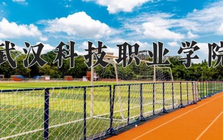 2025年武汉科技职业学院在河南计划招生人数（附学费及专业录取分)
