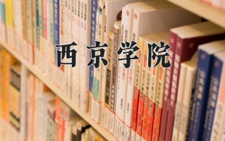 2025年西京学院在新疆计划招生人数（附学费及专业录取分)