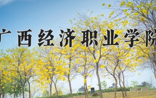 2025年广西经济职业学院在四川计划招生人数（附学费及专业录取分)