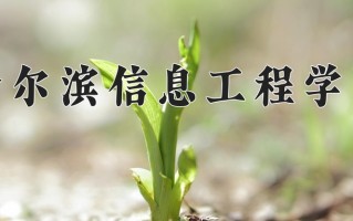 2025年哈尔滨信息工程学院在四川计划招生人数（附学费及专业录取分)