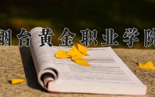 2025年烟台黄金职业学院在新疆计划招生人数（附学费及专业录取分)