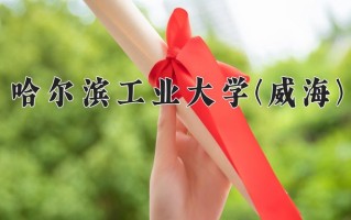 2024哈尔滨工业大学(威海)录取分数线，重庆录取最低分659