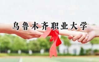 乌鲁木齐职业大学2024在青海录取分数线是多少？最低264分/最高335分
