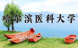 2025年哈尔滨医科大学在新疆计划招生人数（附学费及专业录取分)
