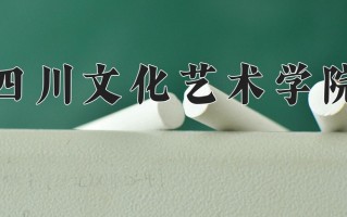 四川文化艺术学院王牌专业有哪些？附2025最新王牌专业排名一览表