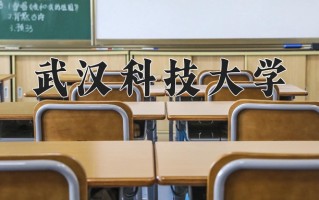 2025年武汉科技大学在四川计划招生人数（附学费及专业录取分)