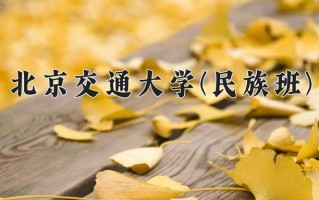 2025年北京交通大学(民族班)在重庆计划招生人数（附学费及专业录取分)
