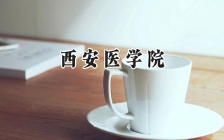 西安医学院2024在内蒙古录取分数线是多少？最低407分/最高548分