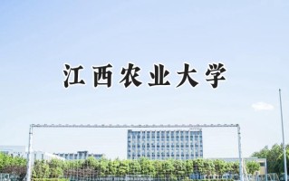 2024江西农业大学录取分数线：天津最低484分